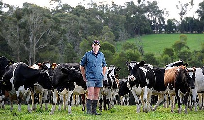澳乳业局建议西澳奶农深挖乳制品出口潜力