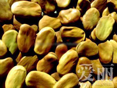 蚕豆种子中含有巢菜碱苷