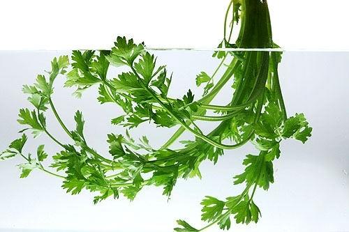 食物真能改变肤色吗?打破5大吃的谣言